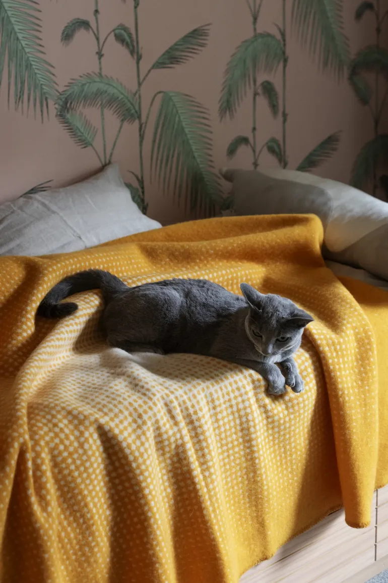 JUHANNUS villahuopa