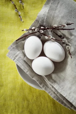 USVA servietti